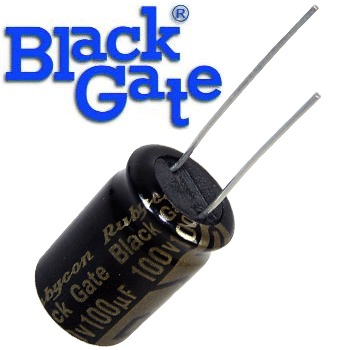 BG100u100: 100uF 100Vdc Black Gate Standard Type Electrolytic Capacitor