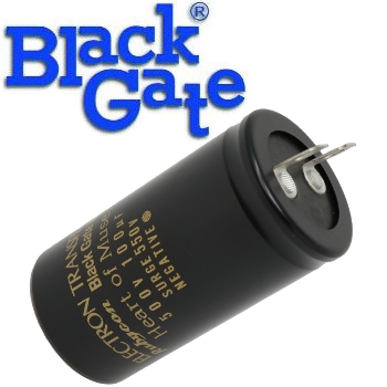 BG100u500WKz: 100uF 500Vdc Black Gate WKz Type Electrolytic Capacitor