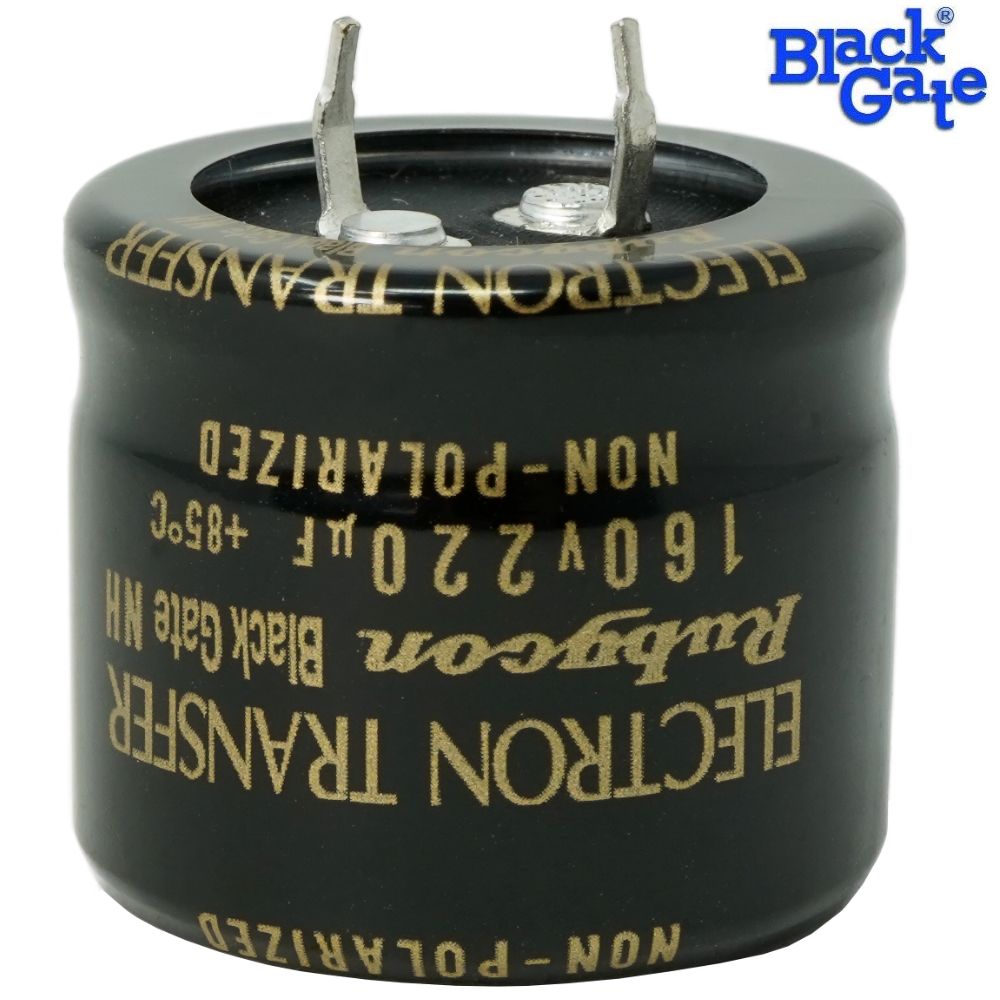 BG220u160NH: 220uF 160Vdc Black Gate NH Type Electrolytic Non-Polar Capacitor