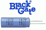 Black Gate AC Type - DISCONTINUED