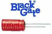 Black Gate N Type
