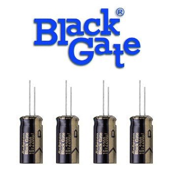 Black Gate Standard Type - DISCONTINUED