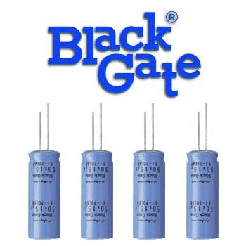 Black Gate AC Type - DISCONTINUED