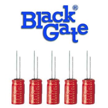 Black Gate N Type - DISCONTINUED