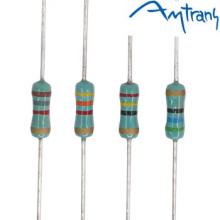 Amtrans AMRT 2W Carbon Resistors