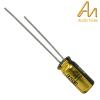 CAP-100-R-22U-16V: 22uF 16Vdc Audio Note Kaisei POLAR Electrolytic Capacitor