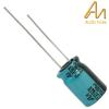 CAP-100-S-100U-25V: 100uF 25Vdc Audio Note Seiryu POLAR Electrolytic Capacitor