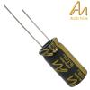 CAP-100-STDR-2200U-16V: 2200uF 16Vdc Audio Note Standard Electrolytic Capacitor