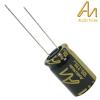 CAP-100-STDR-220U-100V: 220uF 100Vdc Audio Note Standard Electrolytic Capacitor