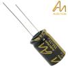 CAP-100-STDR-22U-350V: 22uF 350Vdc Audio Note Standard Electrolytic Capacitor