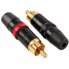 NYS373: Rean RCA plugs, Gold-plated (pair)