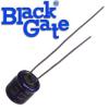 BG47u6.3NX: 47uF 6.3Vdc Black Gate NX HI-Q Type Electrolytic Capacitor
