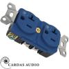 Cardas 4181US US Duplex Outlet