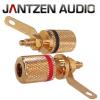 012-0160: Jantzen Binding Post M4 / 8mm Pair, Gold plated, red / black, a pair